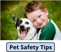 Pet Safety Tips